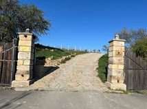 ART WINE WEEKEND