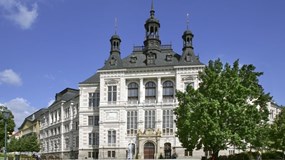 AVATAR klub: Beseda s Prof. Annou Hogenovou v Plzni