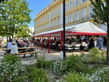 Galerie rulandských vín v ČR - národní výstava vín v Kyjově