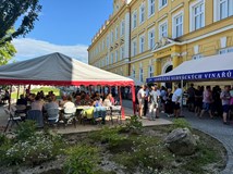 Galerie rulandských vín v ČR - národní výstava vín v Kyjově
