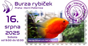 Burza rybiček - Praha (Horní Počernice) - Srpen 2025
