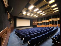 Kino, Blansko