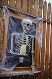 Strašidelný Halloween pro děti