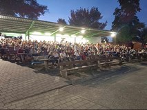 Bodlinka: Pichlavé dobrodružství