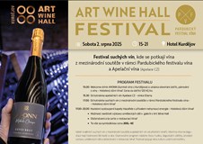 ART WINE HALL FESTIVAL