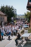 Vinobraní pod Nechory
