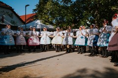 Vinobraní pod Nechory
