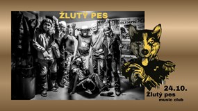 Žlutý pes - Pardubice