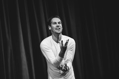 Festival Radoslav III.