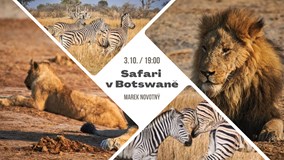Safari v Botswaně