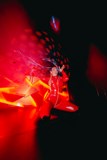BIG EDITION KINKY PARTY WITH TECHNO AND HOUSE MUSIC