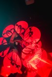 BIG EDITION KINKY PARTY WITH TECHNO AND HOUSE MUSIC
