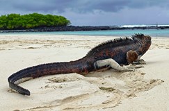Besídka Cestuji za KAČKU: Ekvádor a Galapágy