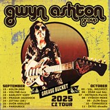 Gwyn Ashton trio