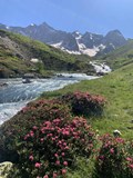 Jak jsme (pře)žily GR 54 a Alta via 6