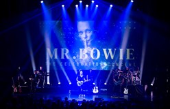 MR.BOWIE – The Celebration Concert