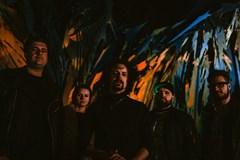 KILL THE DANDIES! + DEAD DOG LEGACY