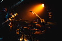 KILL THE DANDIES! + DEAD DOG LEGACY