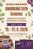 Vinobraní 2024, posezení u burčáku - Čejkovice