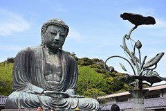 Japonsko – země tradic, technologií a bizarností