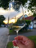 Noční sklepy: Při měsíčku na skleničku 2025