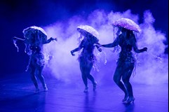 Burleskova Night 2025 vol. 2