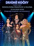 Travesti show Divoké kočky v Pravčicích