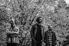 ACID ROW + DEAD DOG LEGACY + KAKKTUS + GREYNBOWNES 