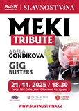 Slavnost vína 2025