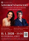 Novoroční koncert