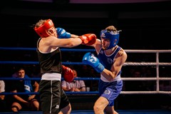 Spider Fight Night 4