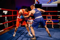 Spider Fight Night 4