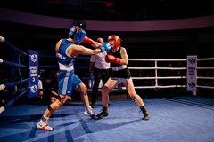 Spider Fight Night 4