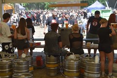 BRNĚNECFEST XXV. aneb punkovej klystýr