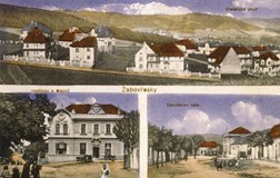 Od vesnice k zahradní čtvrti. Žabovřesky 1905‒1925