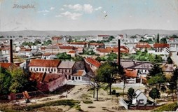 Od města k předměstí. Královo Pole 1905‒1925