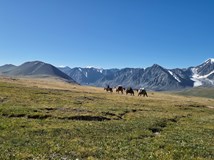 Mongolsko s velbloudama na nejvyšší horu