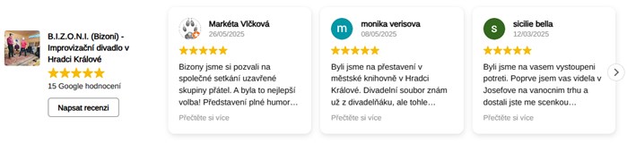 B.I.Z.O.N.I. / BIZONI - Zápas v divadelní improvizaci