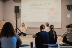 Vaib 2025 / Do hloubky