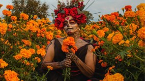 Día de los Muertos v Brně