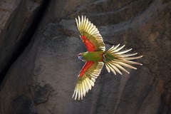 BOLIVIA? TRANQUILO! | cestovatelská beseda Tomáše Grima