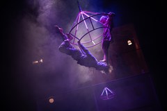 Losers Cirque Company: Národní sbírka zlozvyků