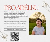 Muzikálové Vánoce