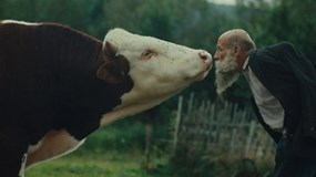Filmový klub - Raději zešílet v divočině