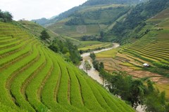 Jak a kam do Vietnamu