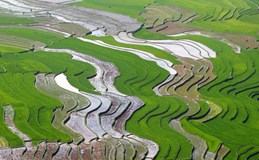 Jak a kam do Vietnamu
