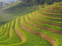 Jak a kam do Vietnamu