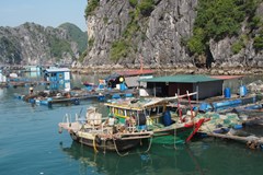 Jak a kam do Vietnamu