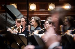 Majestát hudby  / Die Majestät der Musik