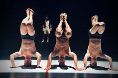 Losers Cirque Company - Konkurz